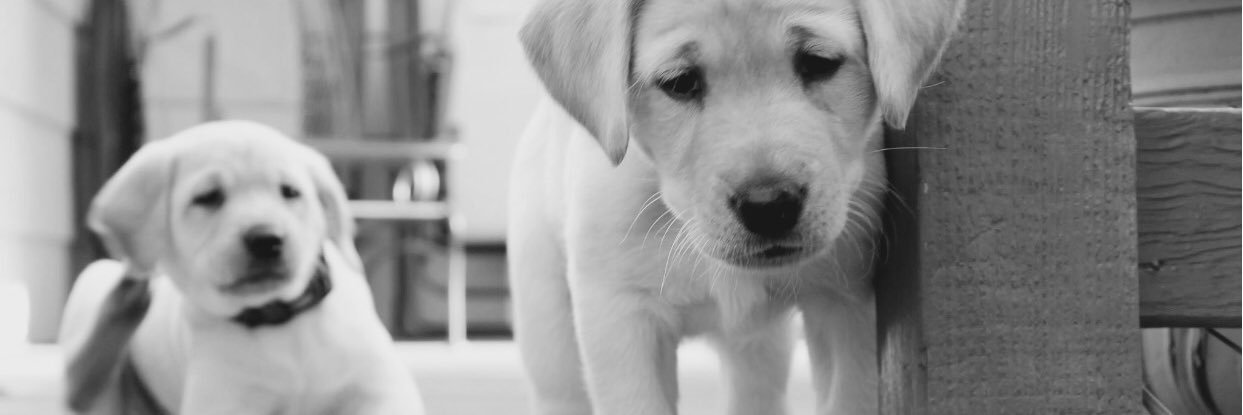 macklinn_'s profile banner image