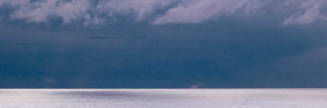 Ricardo Salvo banner