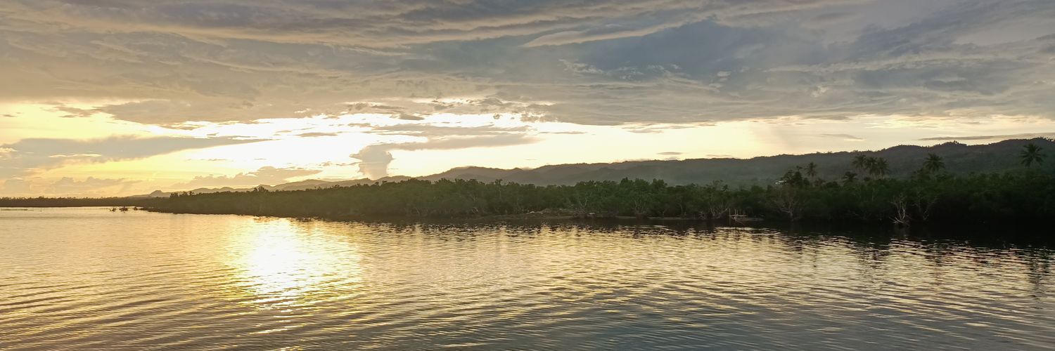 ardiefaith's profile banner image