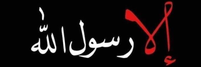alimoilef's profile banner image