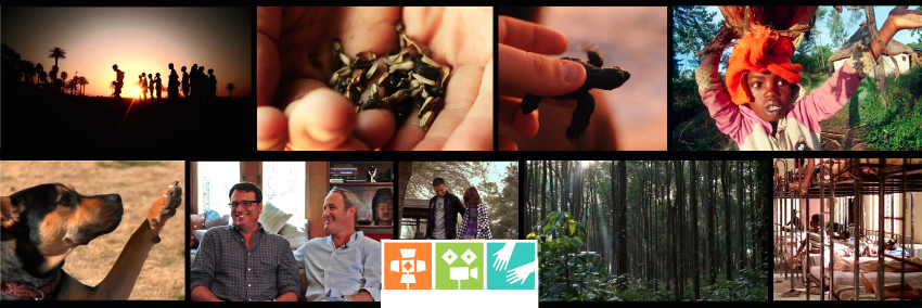 Lights Camera Help banner