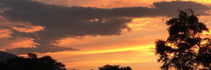 hi_267's profile banner image