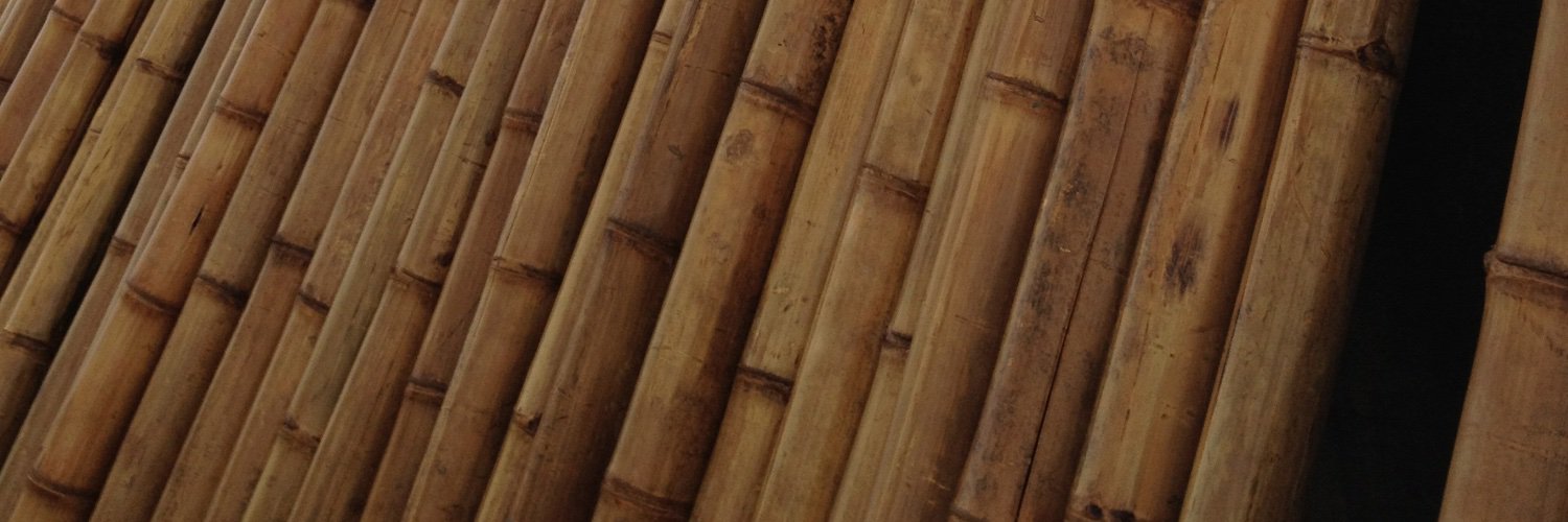 troywiseman's profile banner image