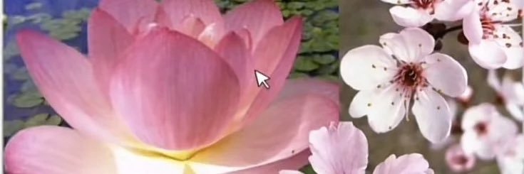 bluntsmocka's profile banner image