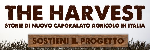 Smk Videofactory banner