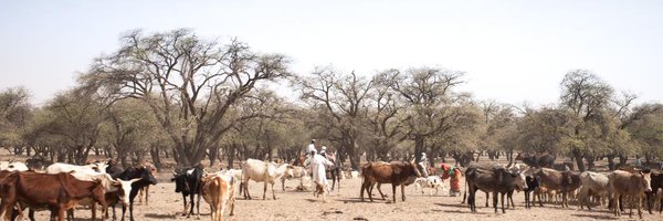 amhauchard Profile Banner