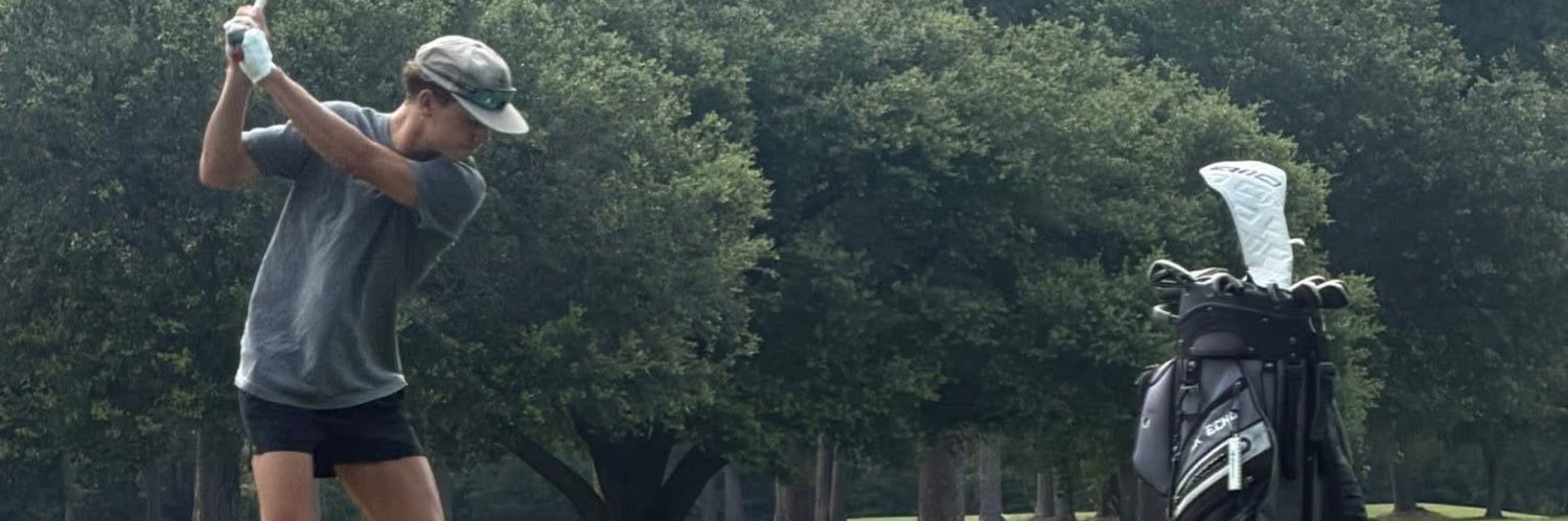 landrygotigers's profile banner image