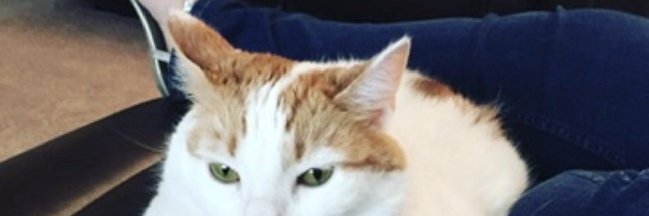 NeutralNatural9's profile banner image