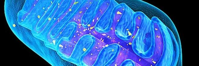 Gert vd Hoek - Sustainable aviation is an oxymoron banner