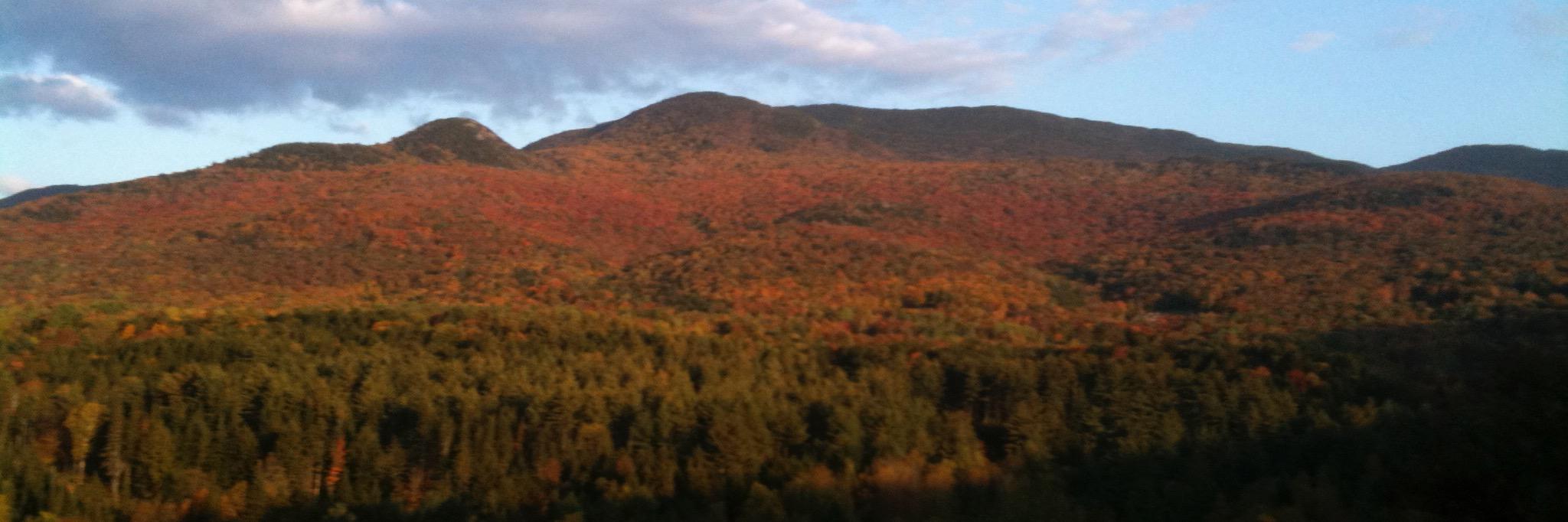 David Bradbury banner