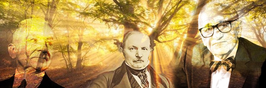 Rafael QM banner