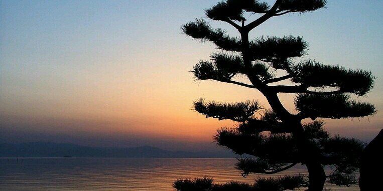 maman_hoca's profile banner image