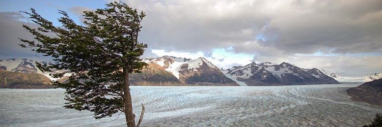 Angela Armstrong banner