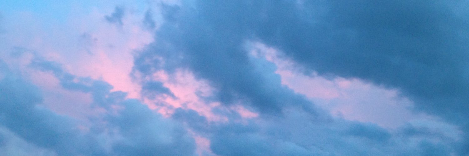 MissLaPtite's profile banner image