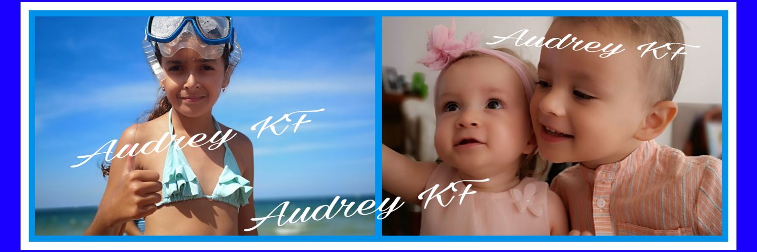 Laudreyines's profile banner image