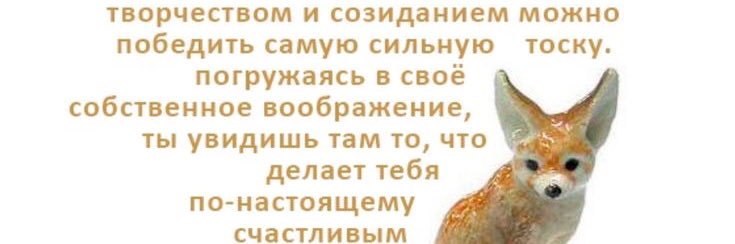 SoColdShoulder's profile banner image