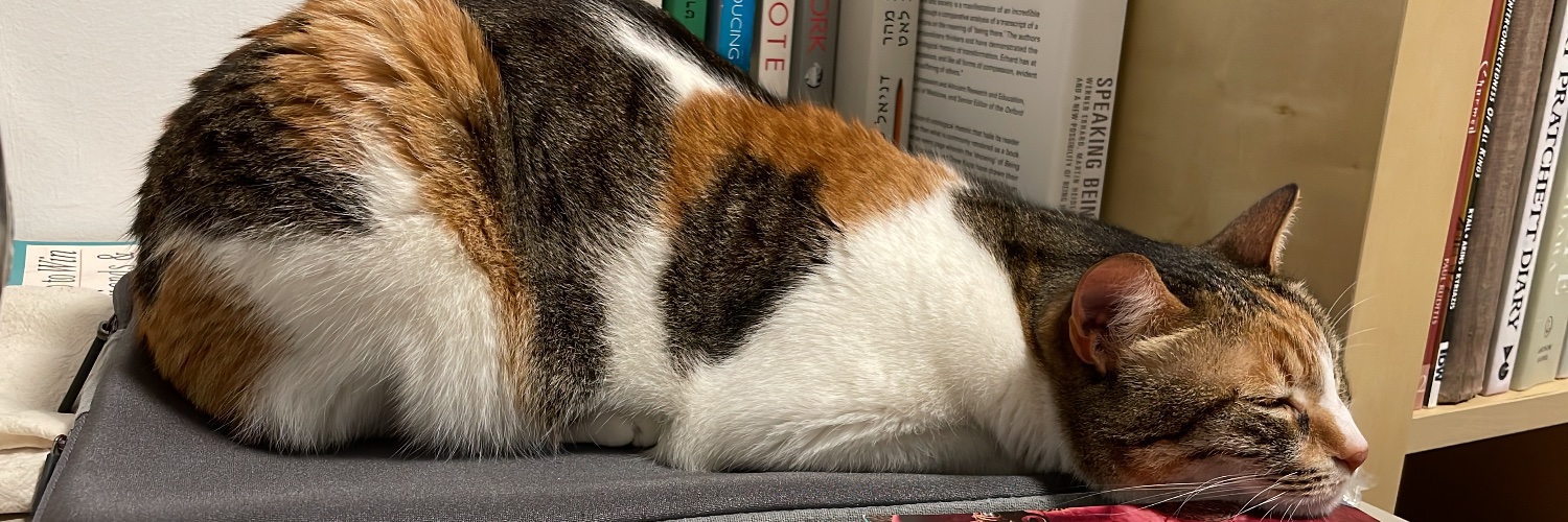 Dvir 🏳️‍🌈 𐤃𐤁𐤉𐤓 banner