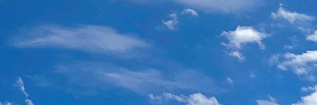 Noviathr's profile banner image