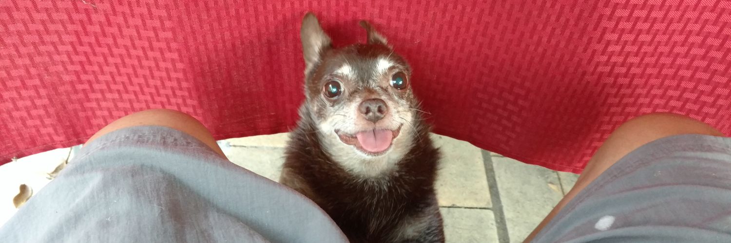 Jerkass10's profile banner image