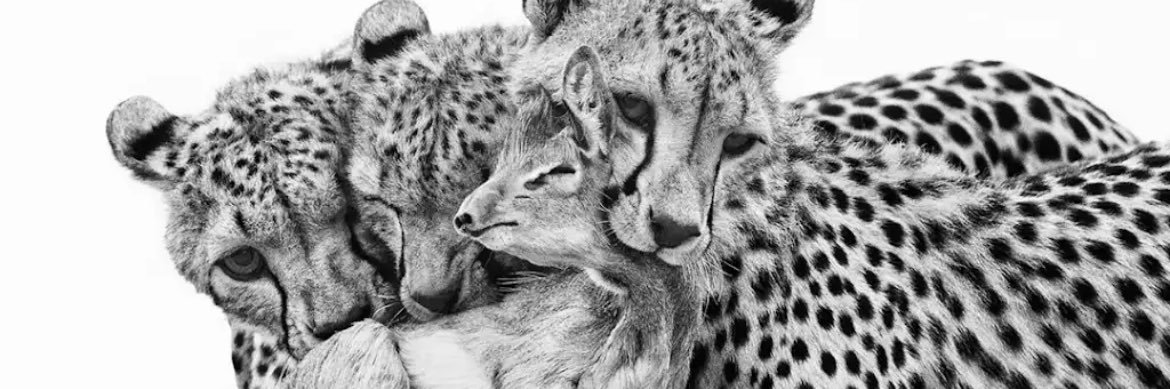 MaPe ♑️🐐🕉️ banner