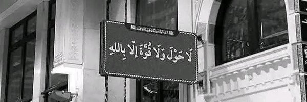 MajestyTall Profile Banner