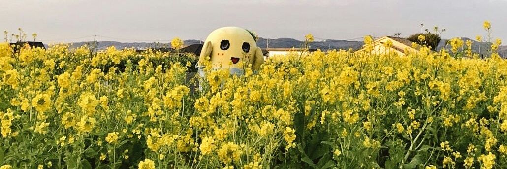 しおん💙(ふなごろー命名💚ハブラシ太郎) banner