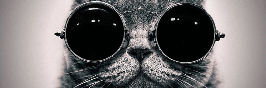 Dawnmerc93's profile banner image