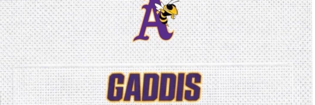 LaVaren Gaddis banner