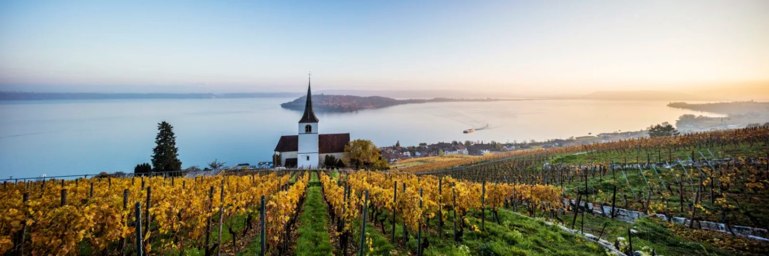 Tom de Kruijff banner