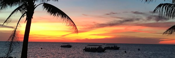 learnteachcoach Profile Banner