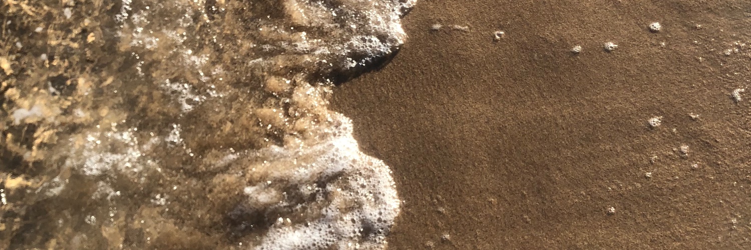 vanessaJVVL's profile banner image