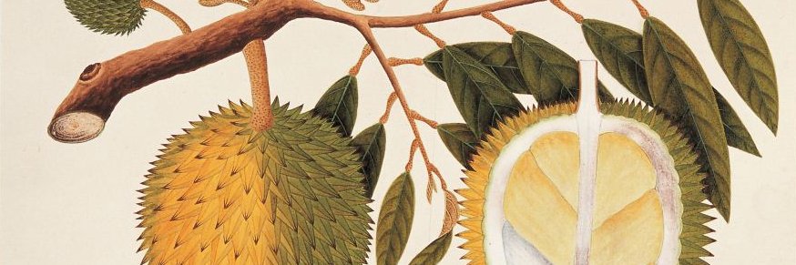 kaktusempra's profile banner image
