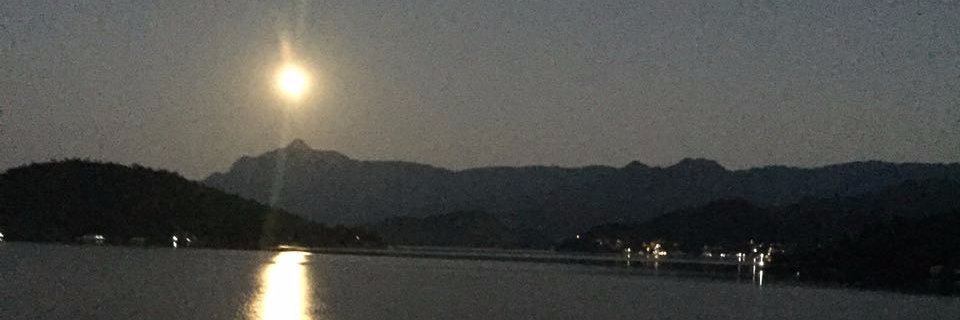 fernandalima's profile banner image