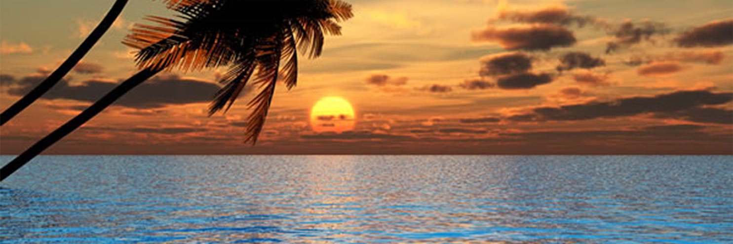 Ramzibell's profile banner image