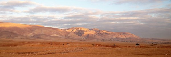 PPMBolder Profile Banner