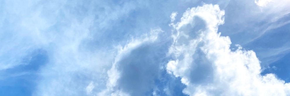 _wo_so_'s profile banner image
