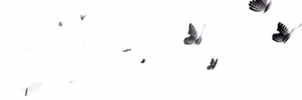 hm6alsh's profile banner image