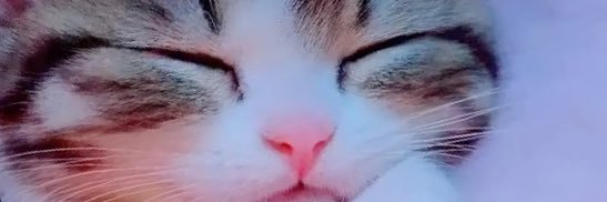 aofamm's profile banner image