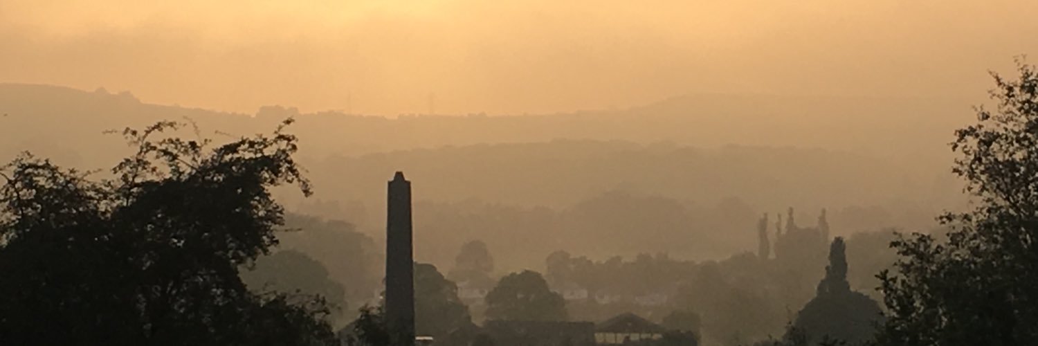 Steve Fitzgerald 💙 #FBPE banner