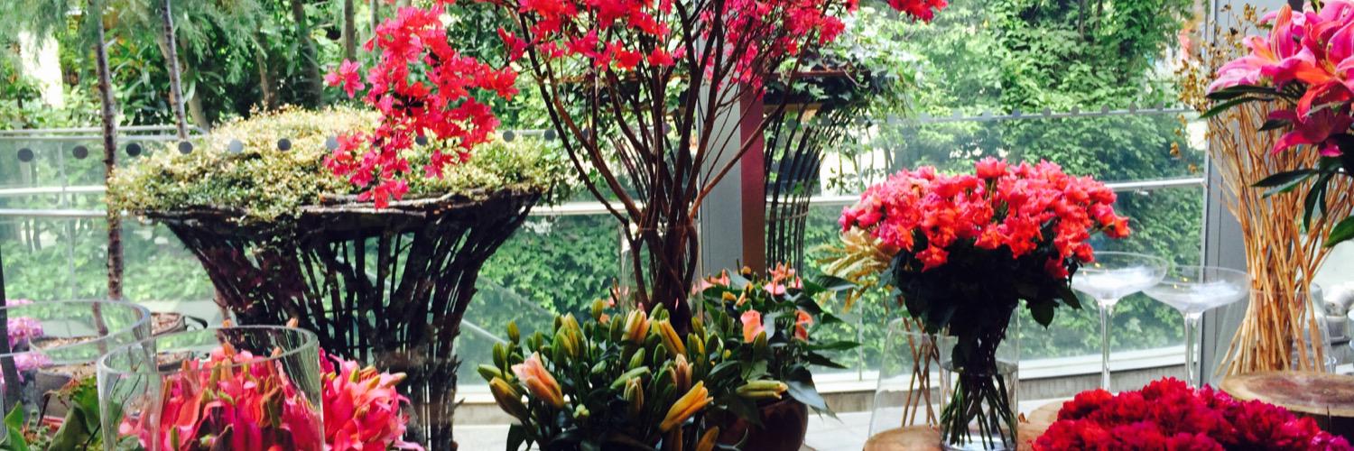 くろねこノアティー banner