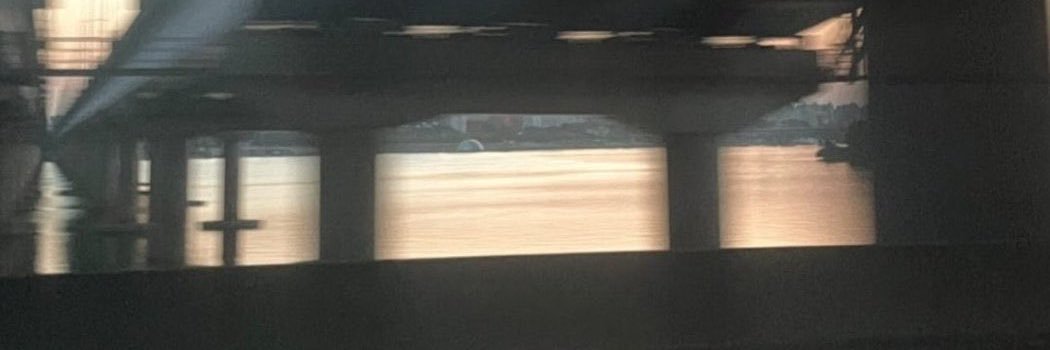 cheIIeo's profile banner image