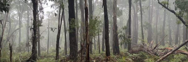 gingerandhoney Profile Banner