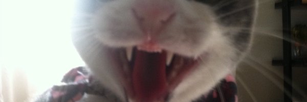 IamRageSparkle Profile Banner