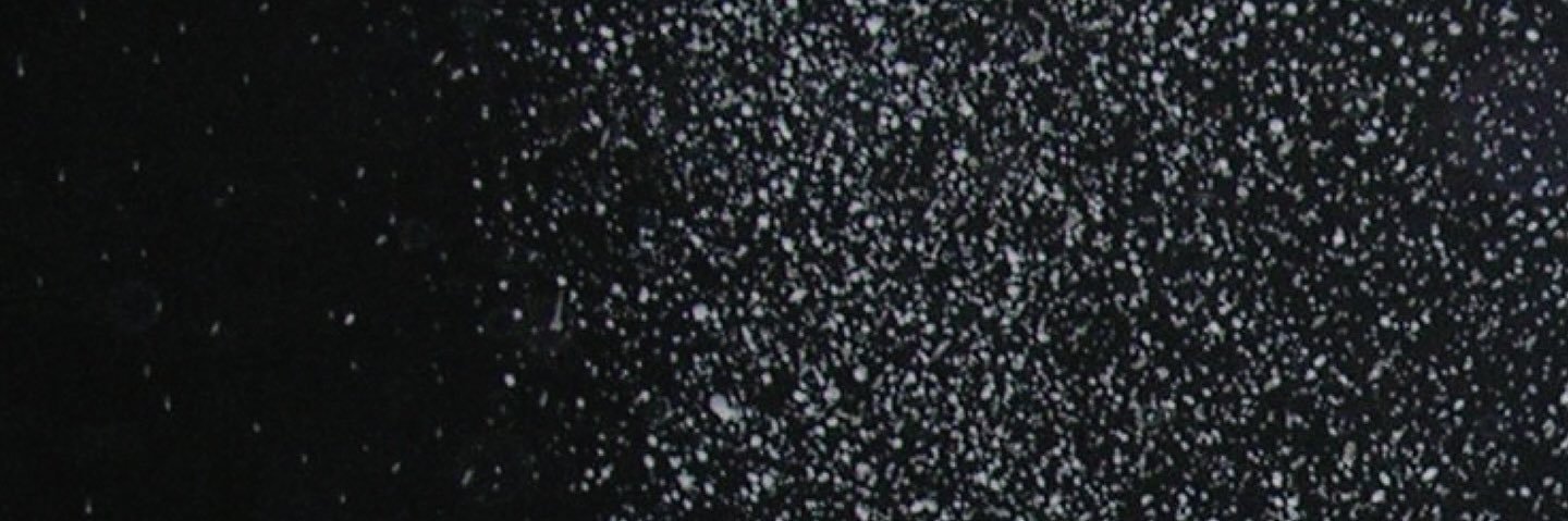 もちごはん banner