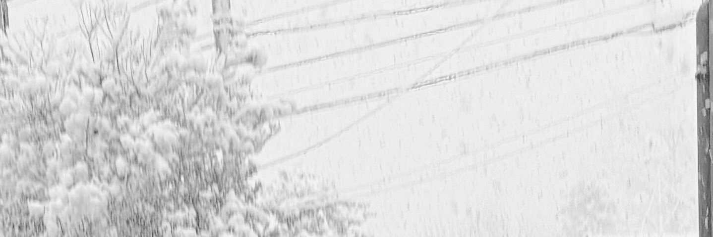 佐藤れい banner
