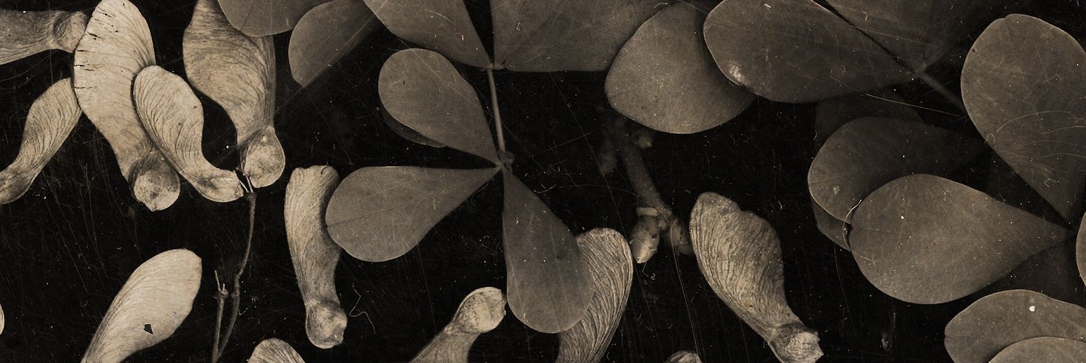 Крінжер Сюрприз banner