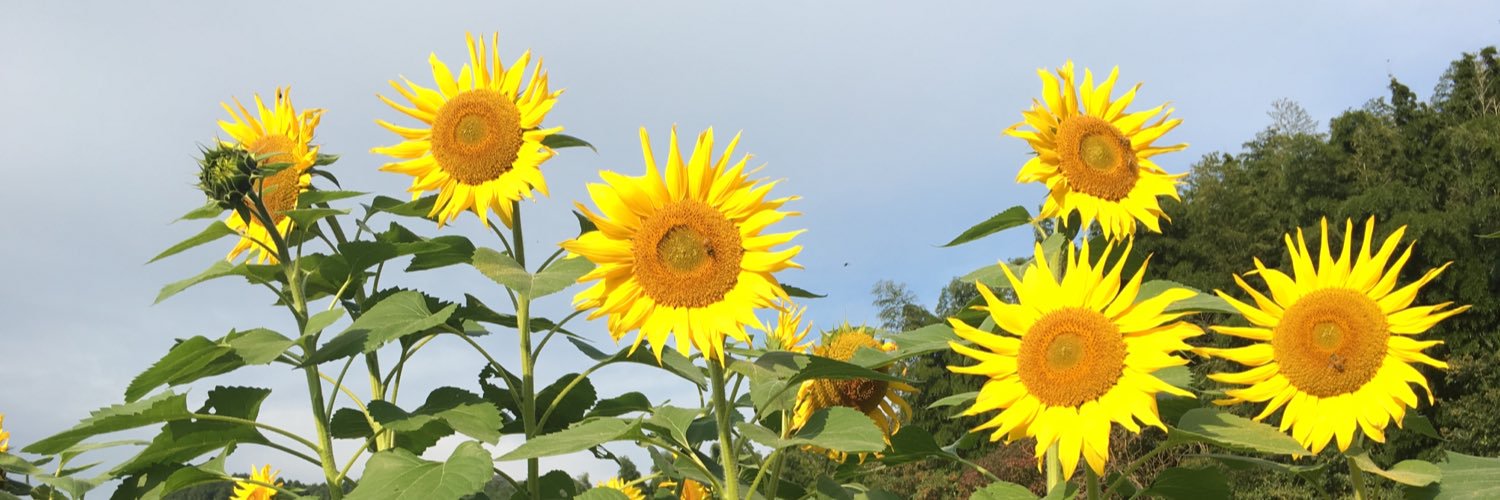 3561_lav's profile banner image
