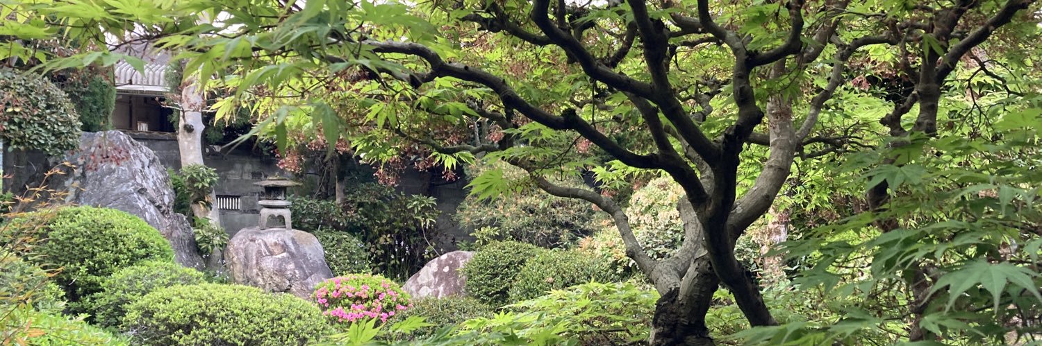 迂愚で凡愚な猿 banner