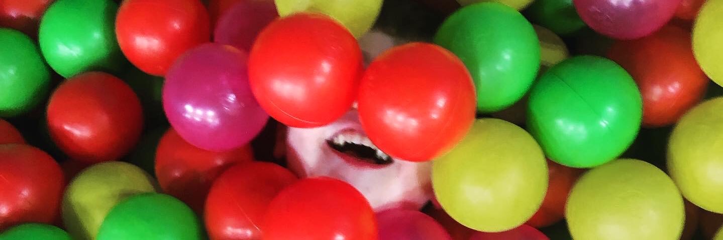 EmoFlower's profile banner image