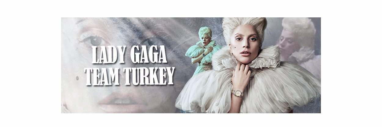 lgteamturkey's profile banner image